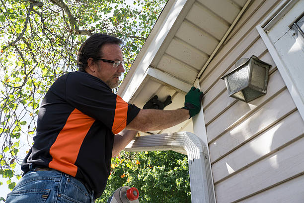 Best Basement Cleanout  in Walton Hills, OH